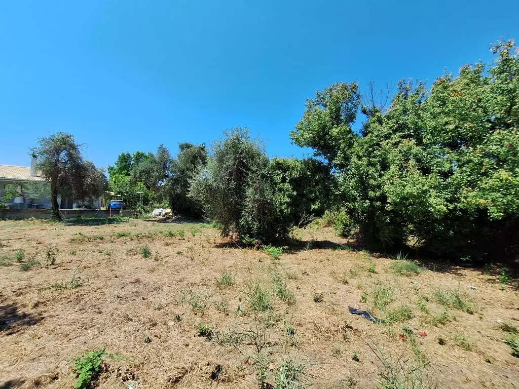 For Sale Land 4600 M² In Corfu