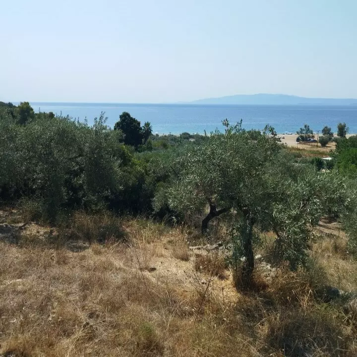 For Sale Land 4000 M² In Athos, Chalkidiki