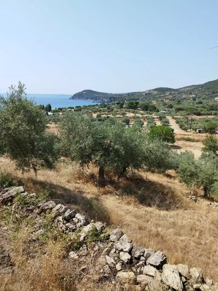 For Sale Land 4000 M² In Athos, Chalkidiki