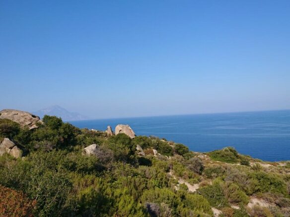 For Sale Land 500 M² In Sithonia, Chalkidiki