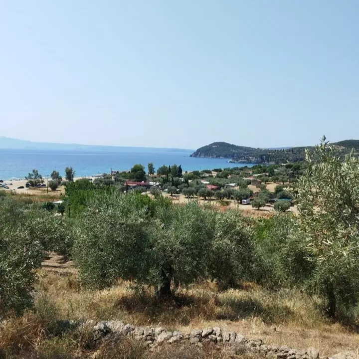 For Sale Land 4000 M² In Athos, Chalkidiki
