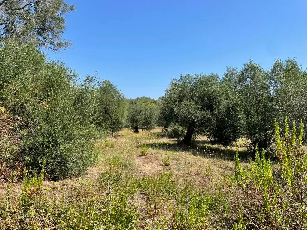 For Sale Land 4030 M² In Corfu