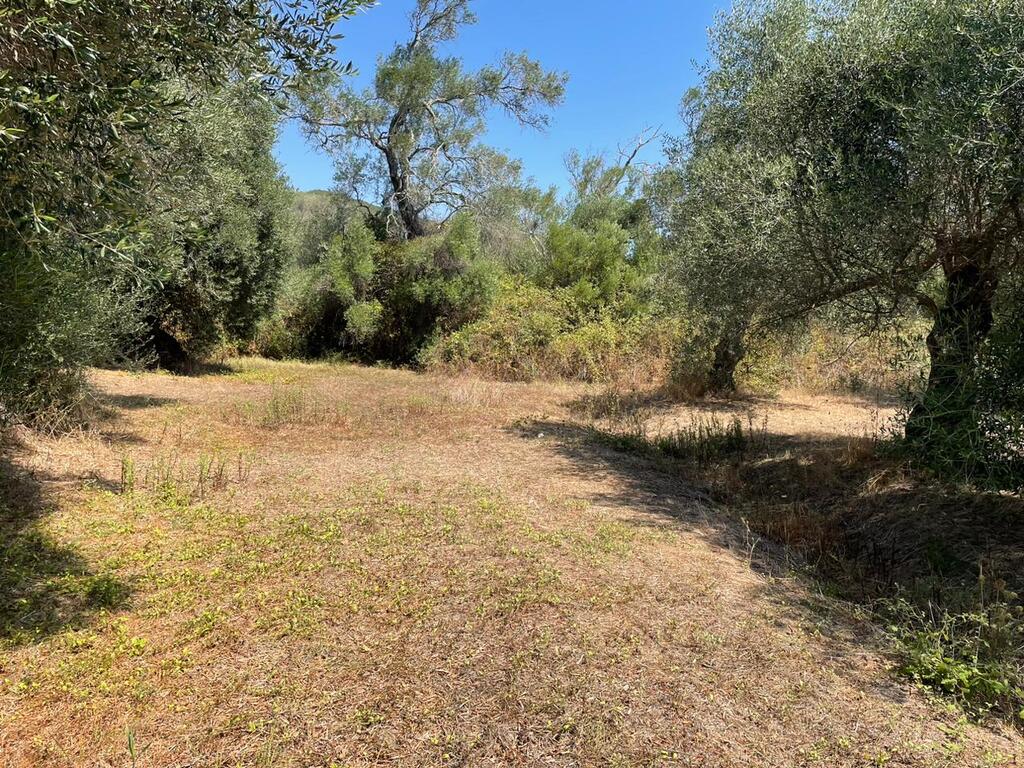 For Sale Land 4030 M² In Corfu