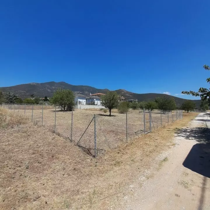 For Sale Land 630 M² In Chalkidiki