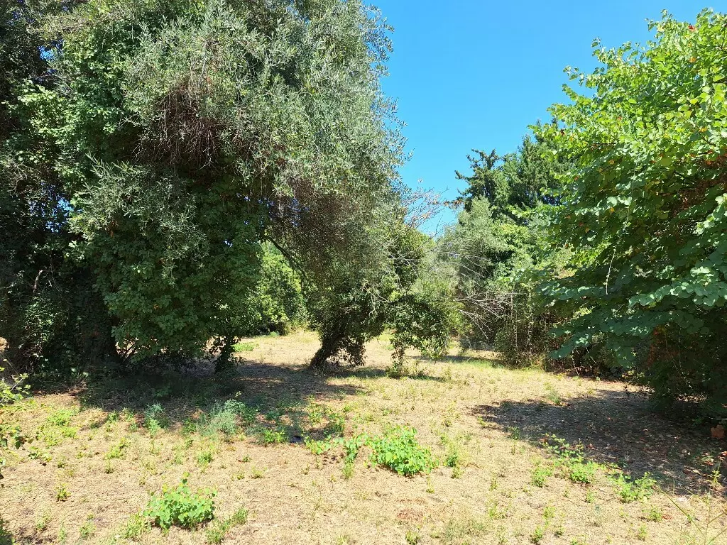 For Sale Land 4600 M² In Corfu