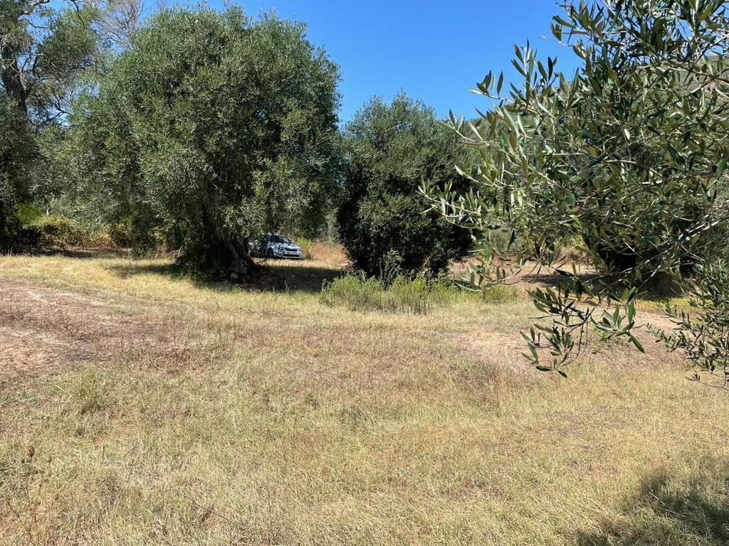 For Sale Land 4030 M² In Corfu