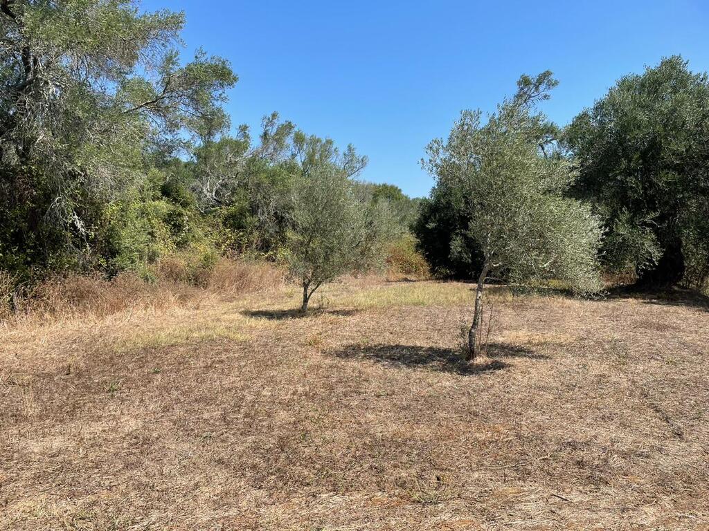 For Sale Land 4030 M² In Corfu