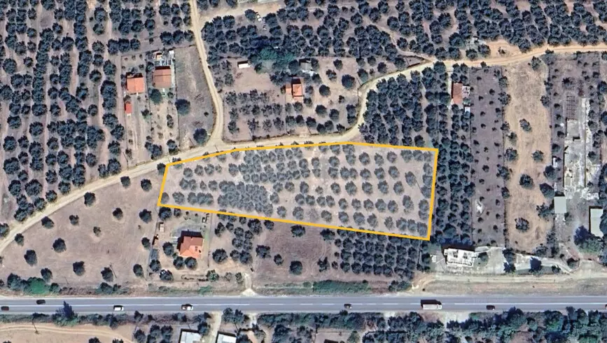 For Sale Land 6007 M² In Sithonia, Chalkidiki