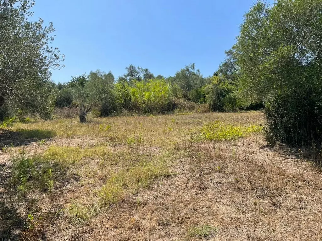For Sale Land 4030 M² In Corfu