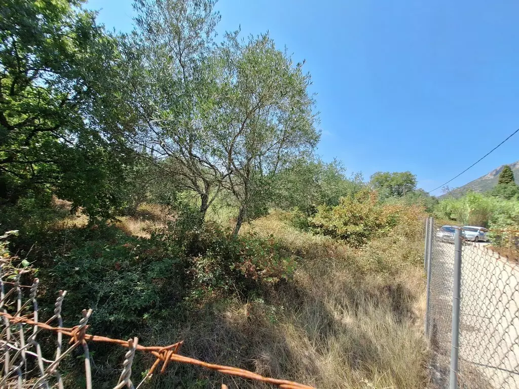 For Sale Land 4683 M² In Corfu
