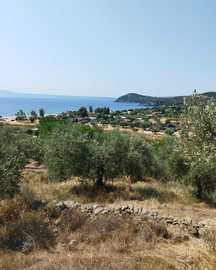 For Sale Land 4000 M² In Athos, Chalkidiki