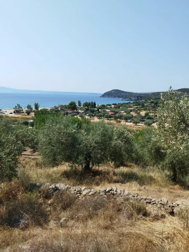 For Sale Land 4000 M² In Athos, Chalkidiki