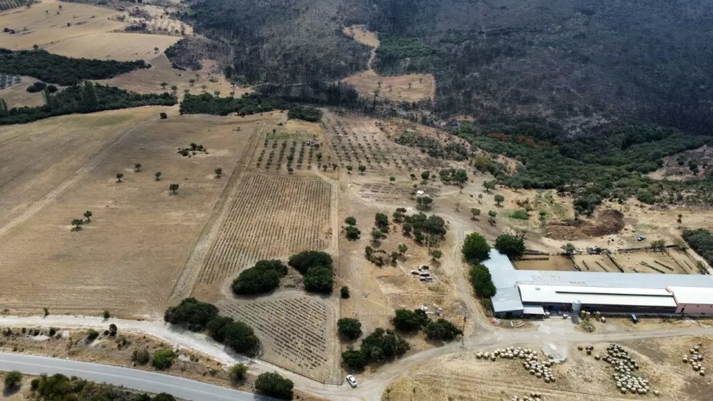 For Sale Land 11500 M² In Chalkidiki