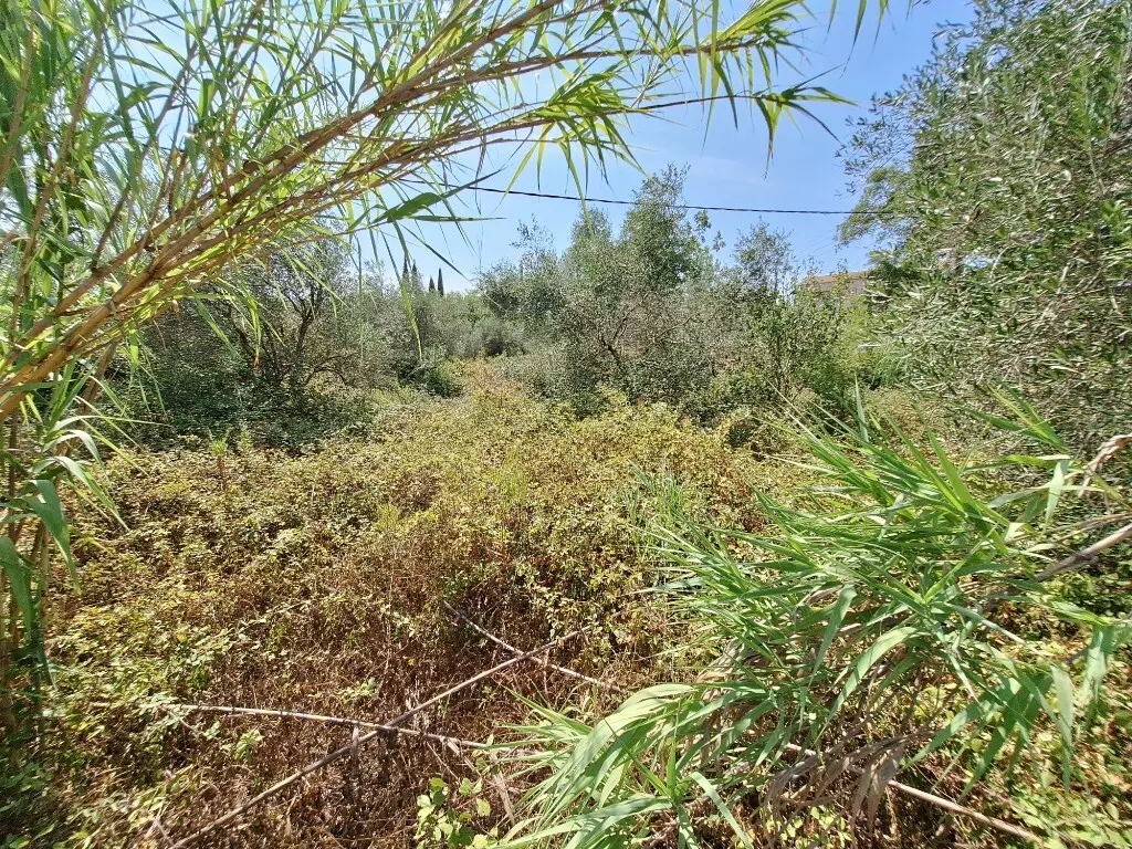 For Sale Land 4683 M² In Corfu