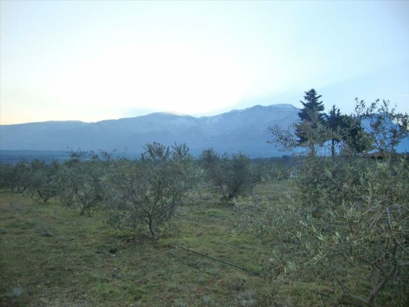 Land In Litochoro, Greece