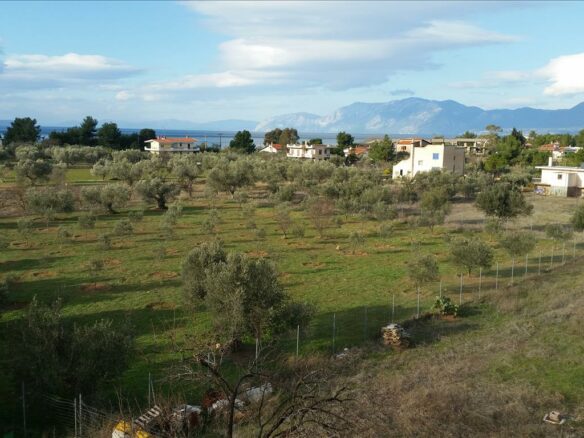 Detached House Of 420 M² In Euboea Island