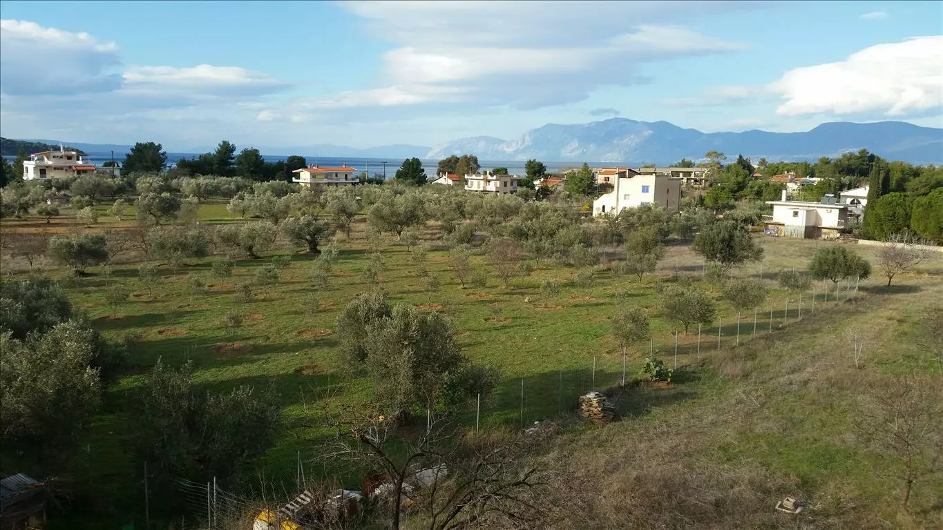 6-bedroom Detached House In Anthidonos, Greece (420 M²)