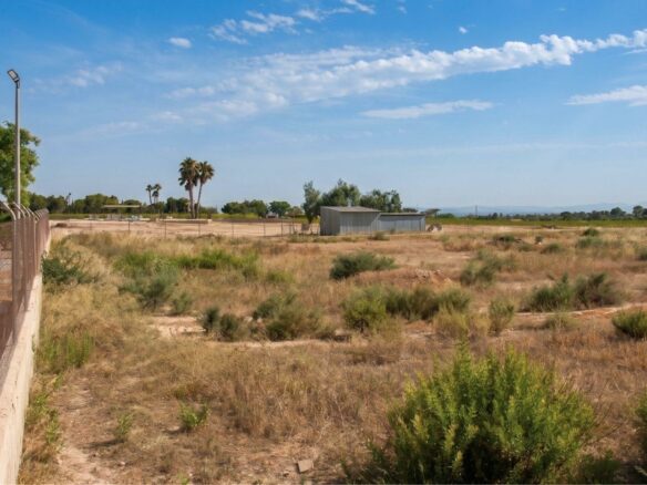 Industrial Unit In Elche Pedanias, Spain (377 M²)