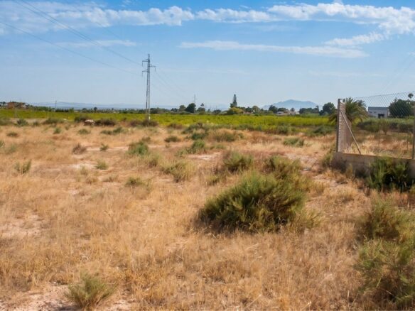 Industrial Unit In Elche Pedanias, Spain (377 M²)
