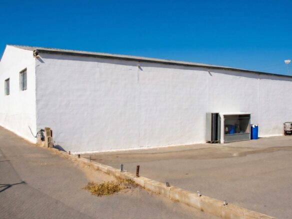 Industrial Unit In Elche Pedanias, Spain (377 M²)
