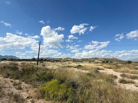 Plot In San Vicente Del Raspeig, Spain (23.851 M² Plot)