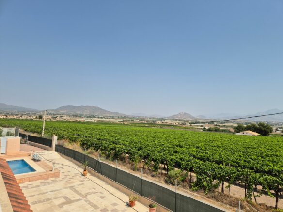 6-bedroom Villa In Aspe, Spain (468 M²)