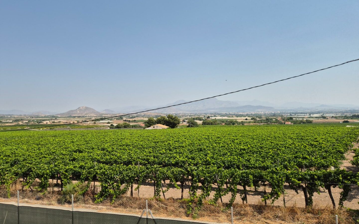 6-bedroom Villa In Aspe, Spain (468 M²)