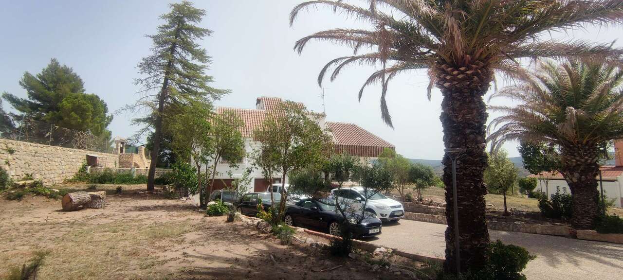 Commercial 694 M² In Ayora, Spain