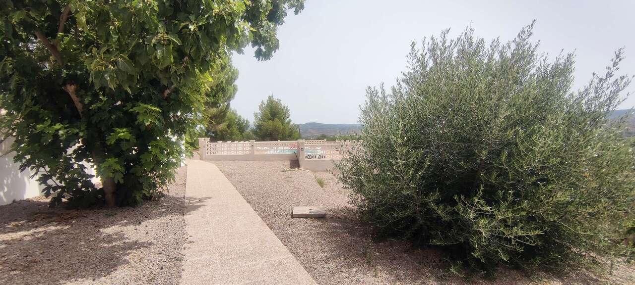 Commercial 694 M² In Ayora, Spain