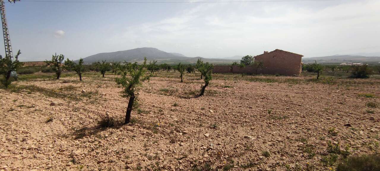 Country House 100 M² In Pinoso, Spain