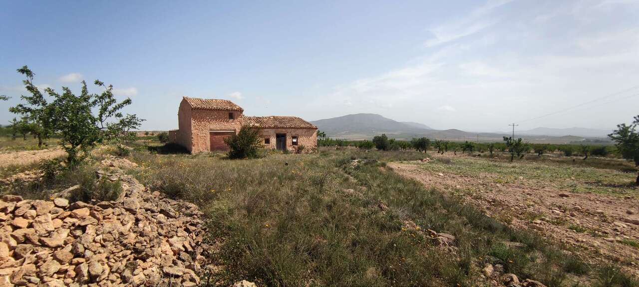 Country House 100 M² In Pinoso, Spain