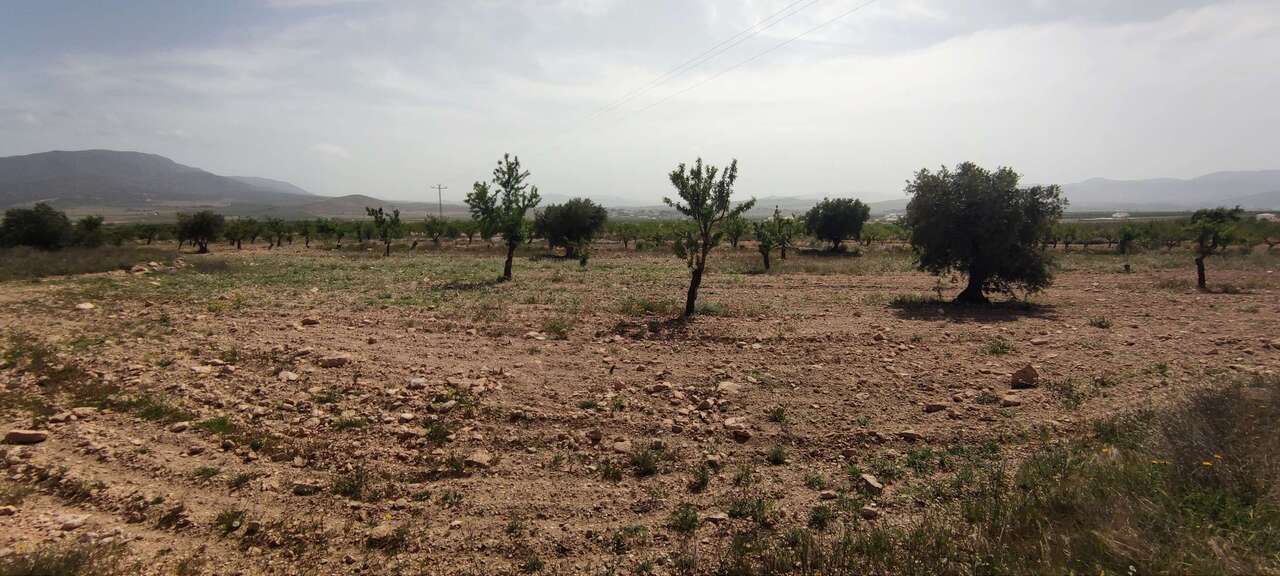 Country House 100 M² In Pinoso, Spain