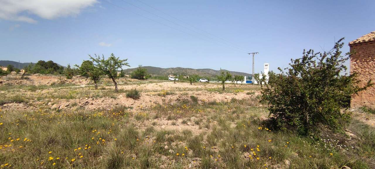 Country House 100 M² In Pinoso, Spain