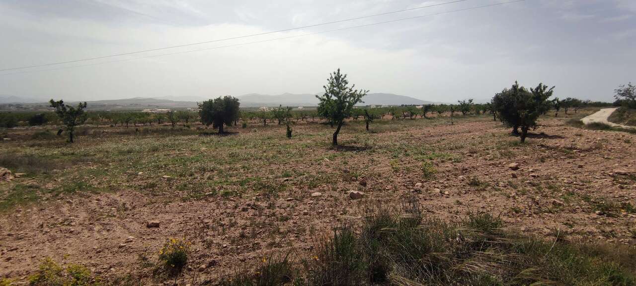 Country House 100 M² In Pinoso, Spain