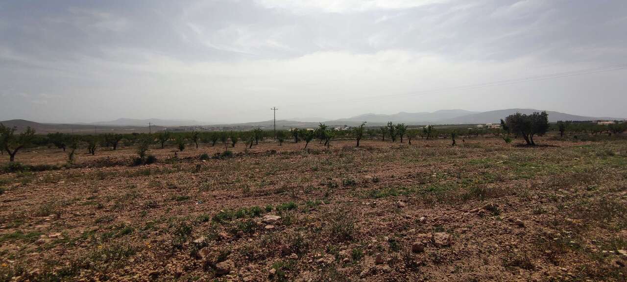 Country House 100 M² In Pinoso, Spain