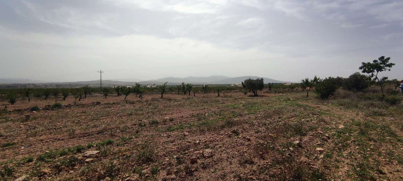 Country House 100 M² In Pinoso, Spain