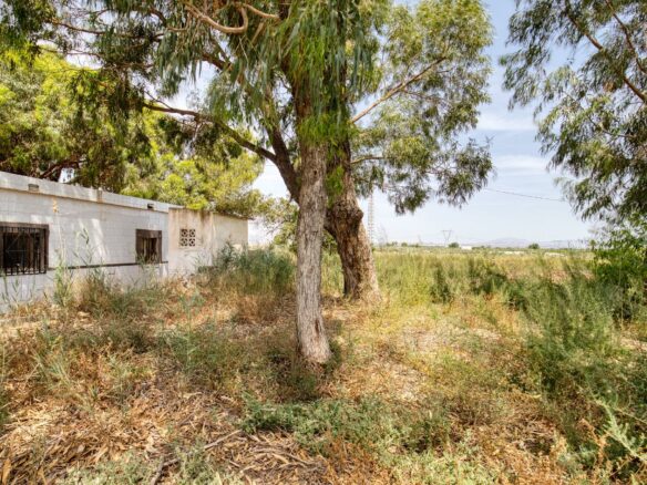 1-bedroom Country House In La Marina, Spain (60 M²)
