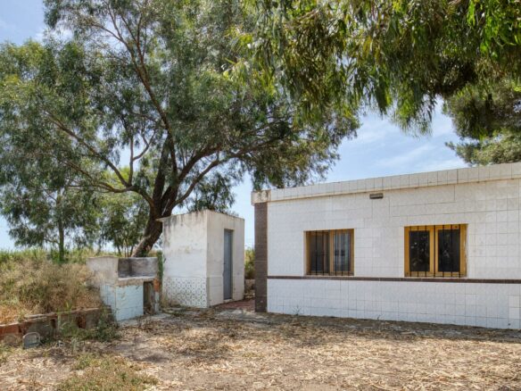 1-bedroom Country House In La Marina, Spain (60 M²)