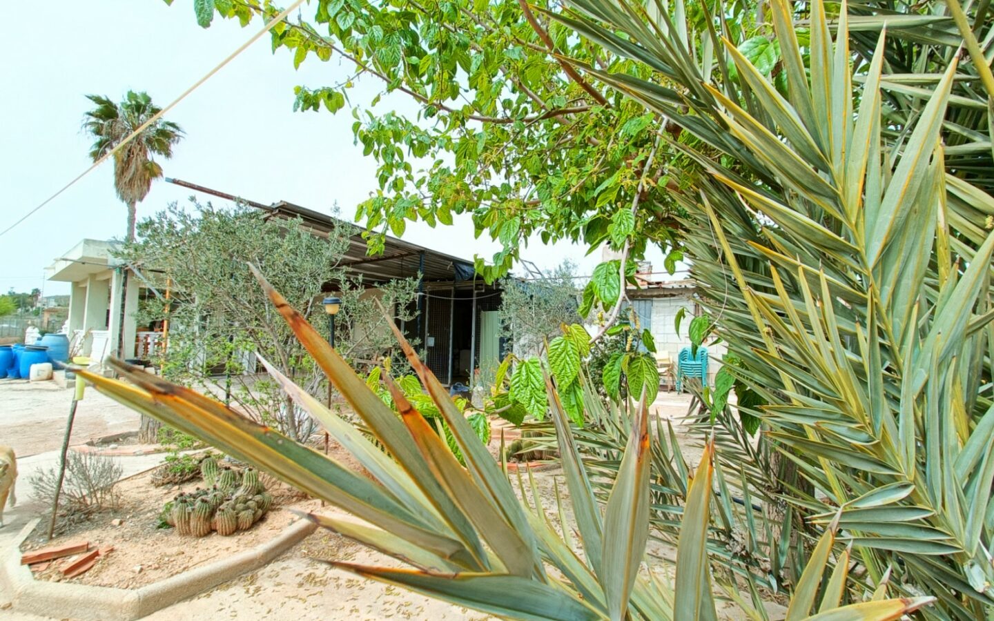 Detached Villa 140 M² In Hondón De Los Frailes, Spain