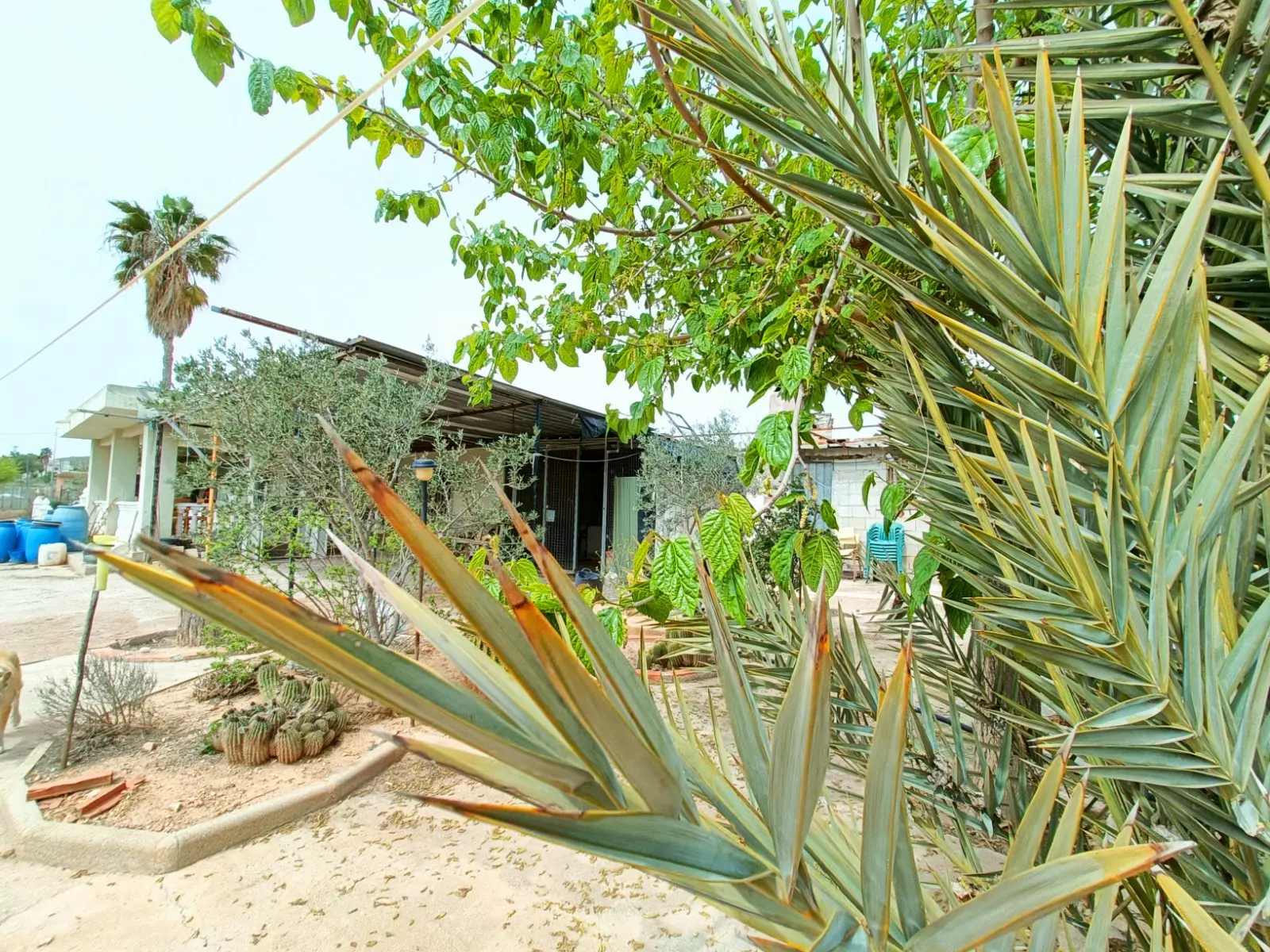 Detached Villa 140 M² In Hondón De Los Frailes, Spain