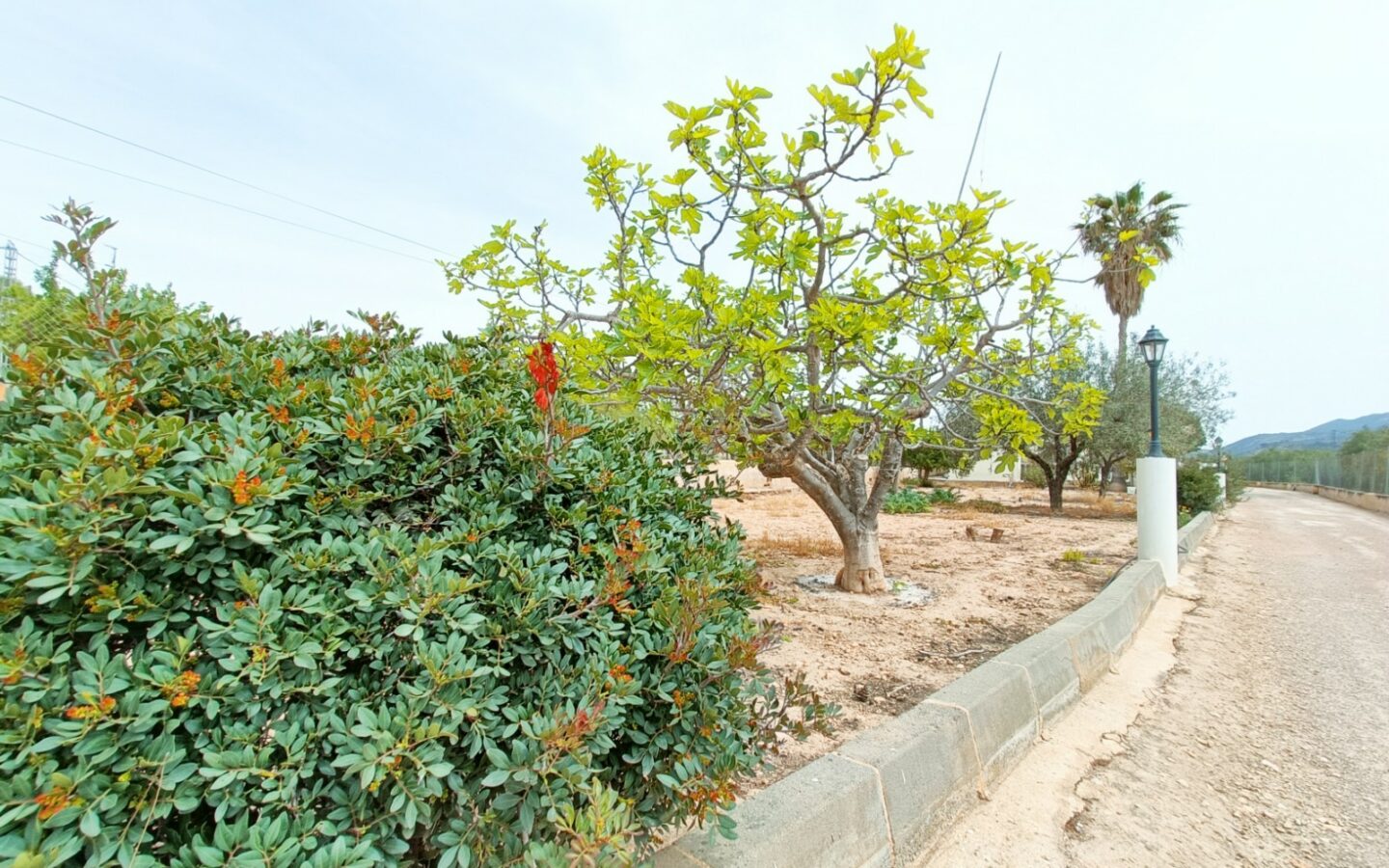Detached Villa 140 M² In Hondón De Los Frailes, Spain