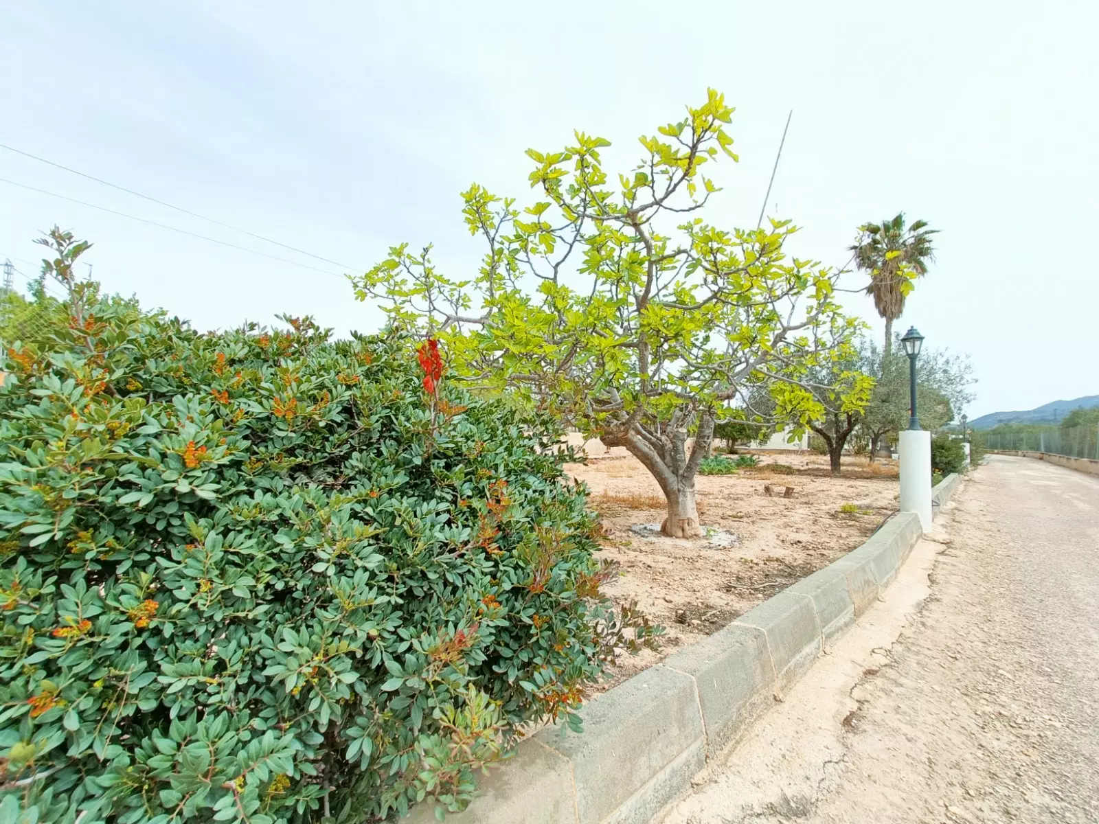 Detached Villa 140 M² In Hondón De Los Frailes, Spain