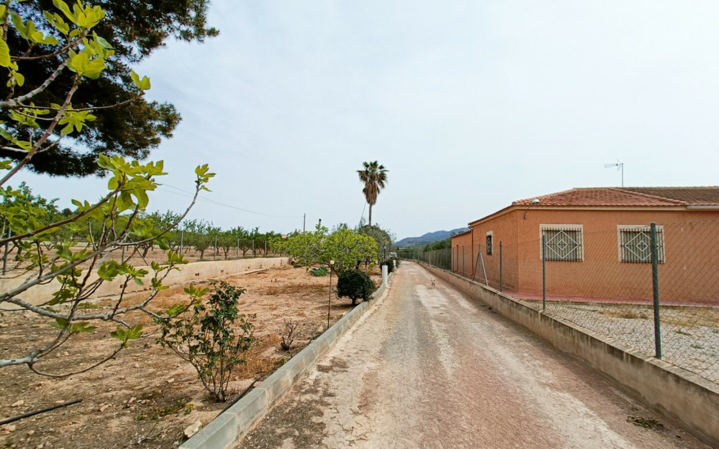Detached Villa 140 M² In Hondón De Los Frailes, Spain