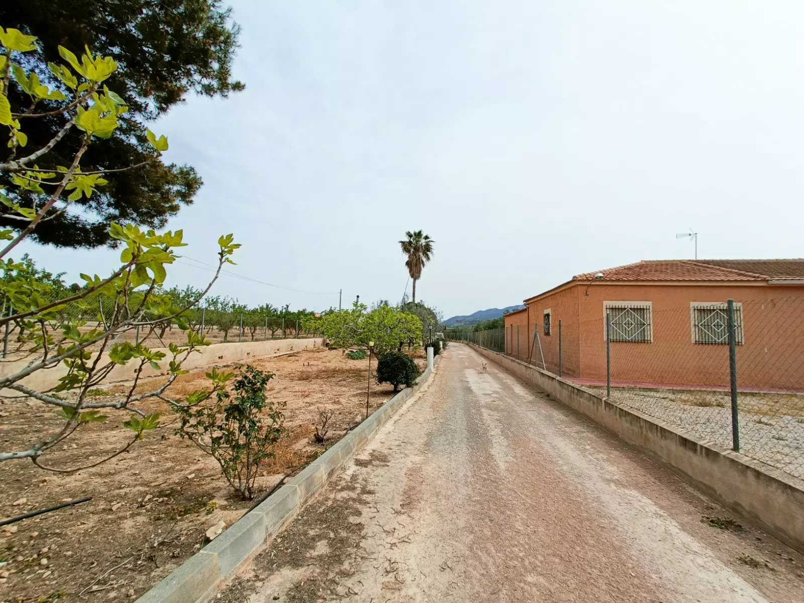 Detached Villa 140 M² In Hondón De Los Frailes, Spain