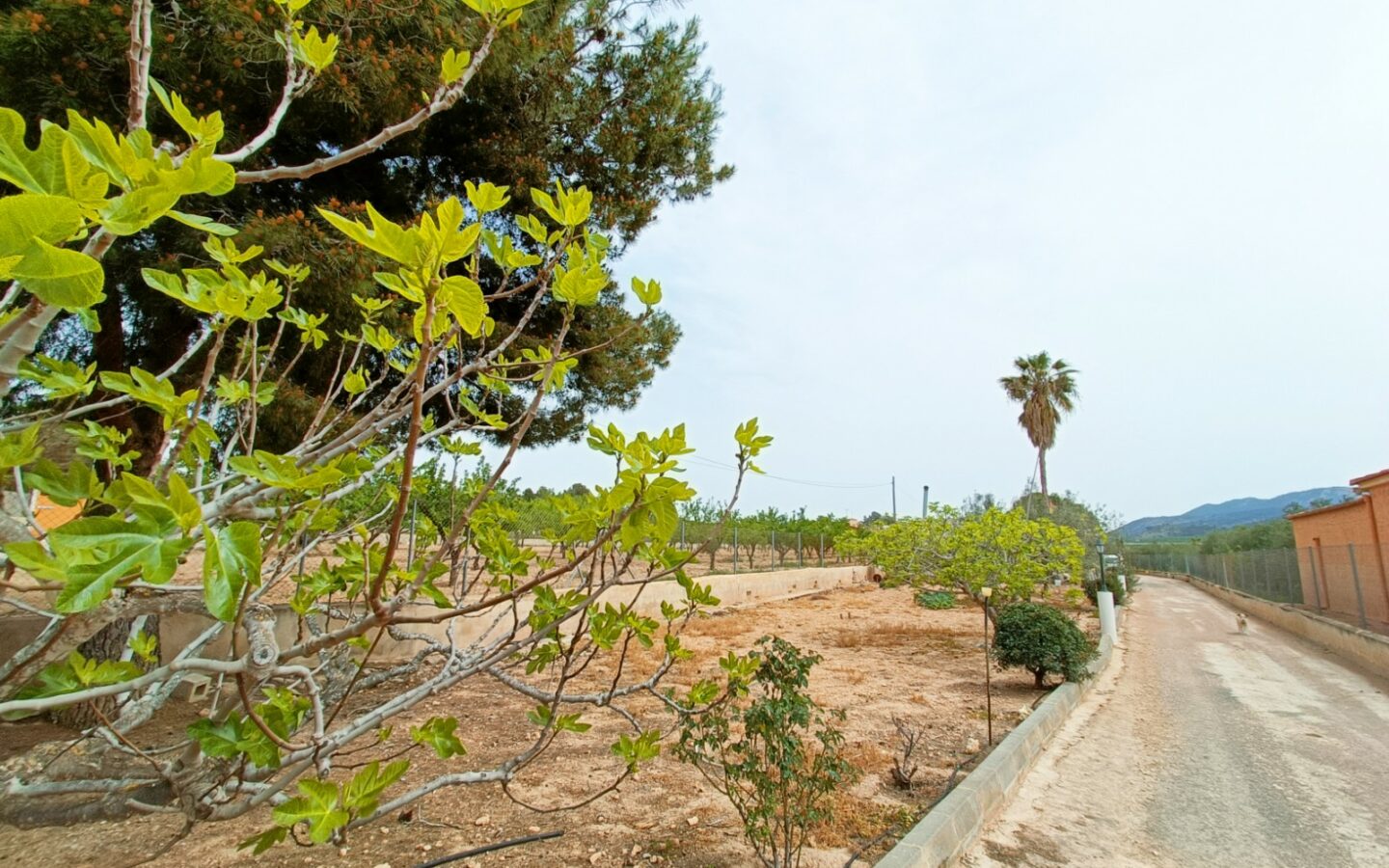 Detached Villa 140 M² In Hondón De Los Frailes, Spain