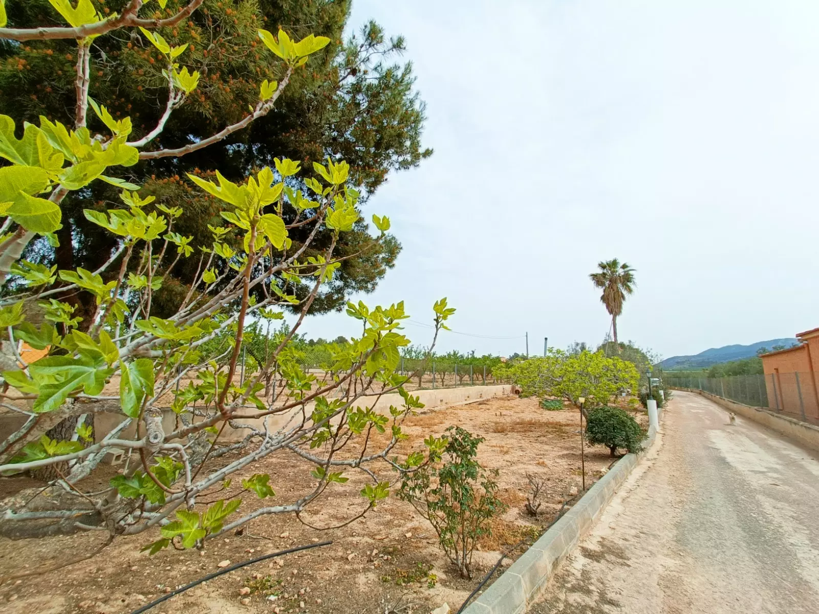 Detached Villa 140 M² In Hondón De Los Frailes, Spain