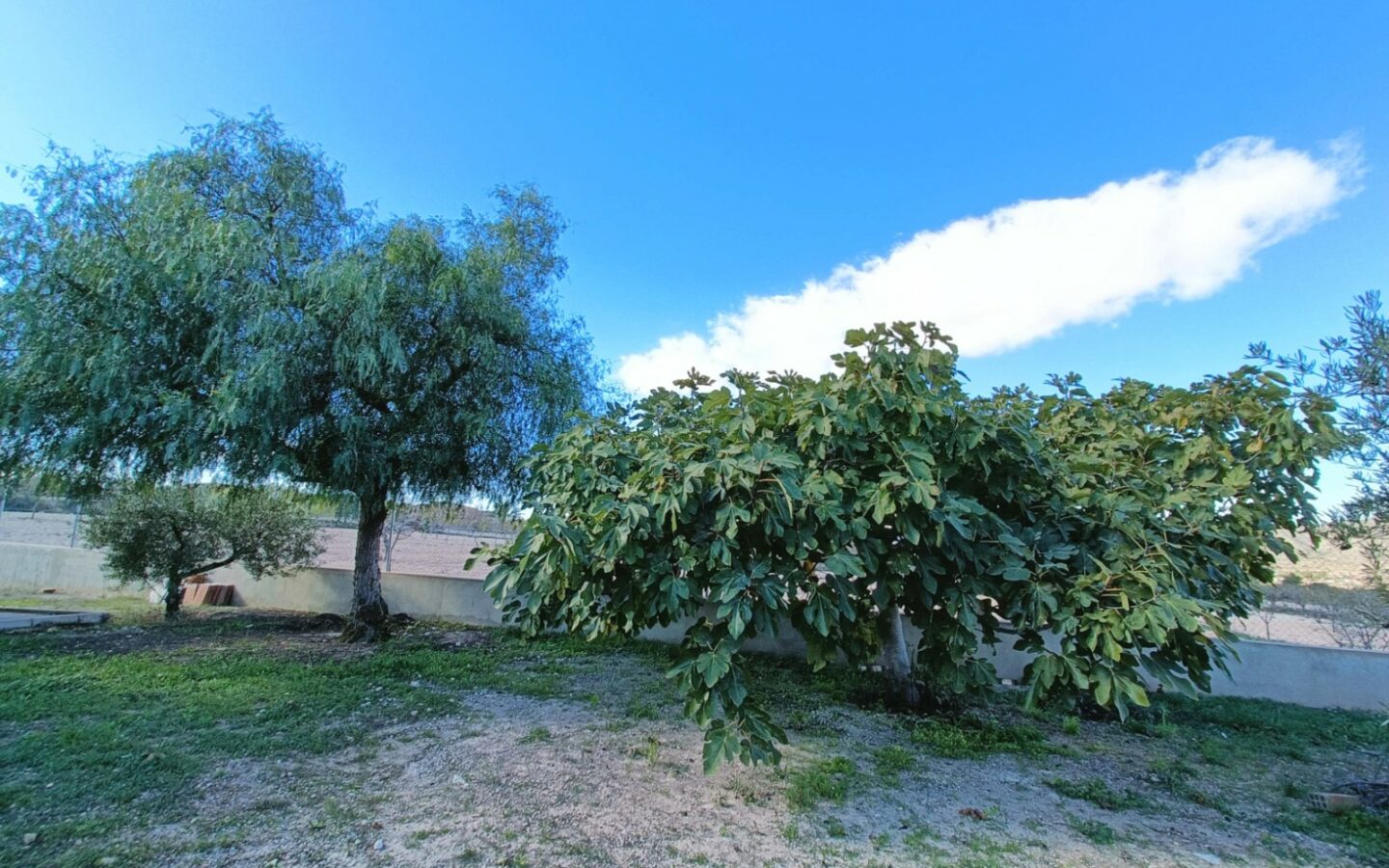 Detached Villa 153 M² In Hondón De Los Frailes, Spain