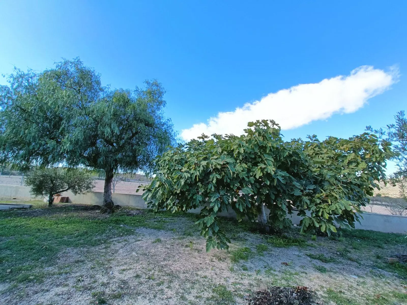 Detached Villa 153 M² In Hondón De Los Frailes, Spain