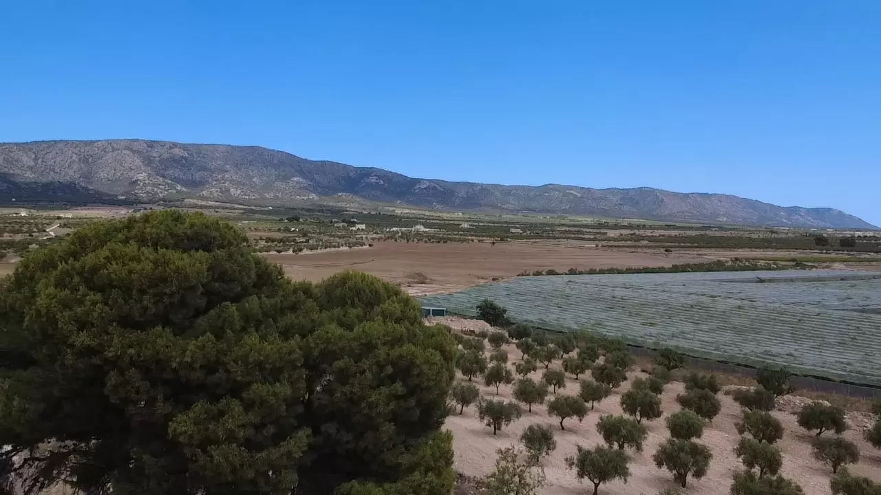 Finca 120 M² In Lel, Spain