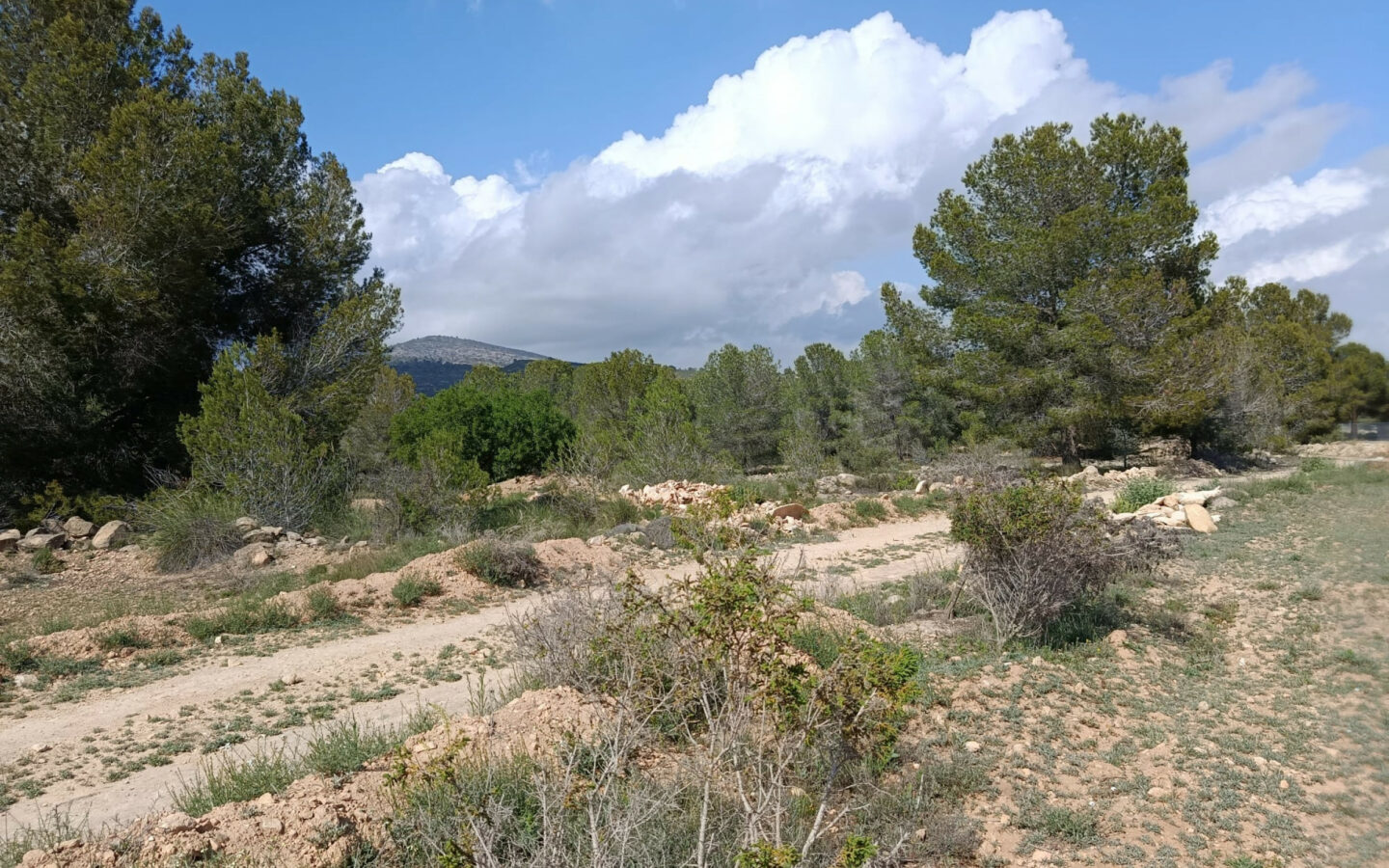 Land 0 M² In Monovar, Spain